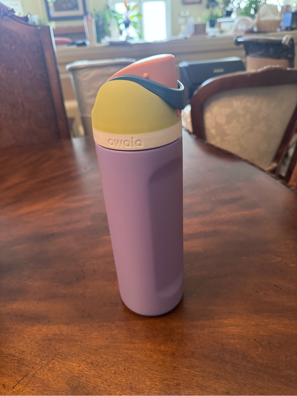 Owala Lavender Multicolor Insulated Water Bottle - One-Hand Flip Lid